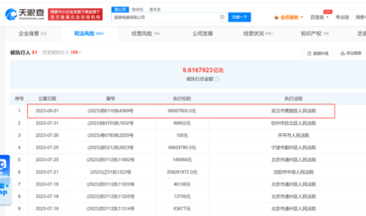 國(guó)美電器遭強(qiáng)制執(zhí)行6806萬元，日用品批發(fā)業(yè)務(wù)成謎